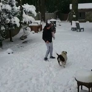 Meet your Posher, Cezar